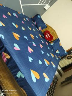 Family Fun DELUXE VILLA 1 - Talguppa - 1