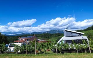 Saxida Wine & Camping Resort Pitches - Dornberk - 9