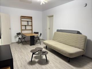Fundeni Studio Modern - Bucharest - 6