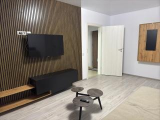 Fundeni Studio Modern - Bucharest - 5