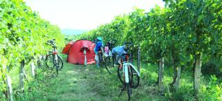 Saxida Wine & Camping Resort Pitches - Dornberk - 4
