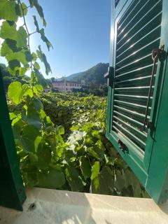Casa Ivy - Mignanego - 9