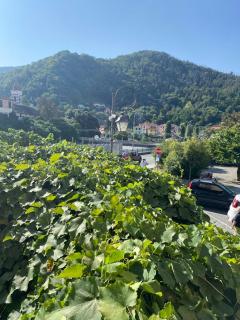 Casa Ivy - Mignanego - 3