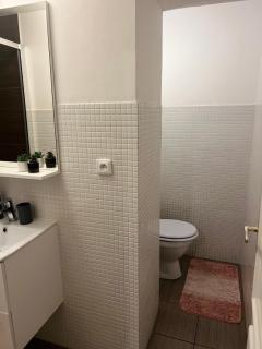 Lovely Prague Havanska - with Free Parking - Praga - 1