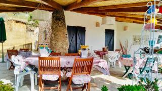 Affittacamere Villa Flores - Lu Lioni - 8