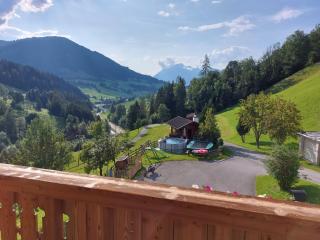 Viehhofbauer Appartements - Maria Alm am Steinernen Meer - 6