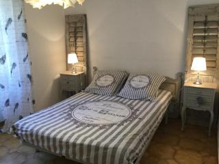 authentic provencal mas with pool, in the countryside of the village of sénas, close to the luberon and the alpilles, sleeps 8. - Sénas - 7
