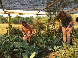 CM Maronn Farmer Hut No2 - Chiang Mai - 3