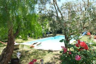Provençal house, pool, Mouriès, Alpilles, Provence - 6 people - Mouriès - 9