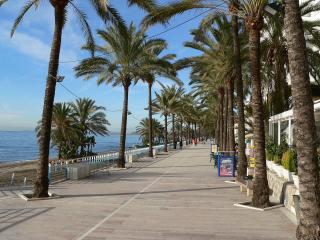 Fully renovated frontline flat - Marbella - 8