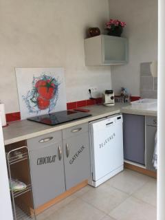 Beautiful provencal vacation rental in L'Isle sur la Sorgue - LʼIsle-sur-la-Sorgue - 1