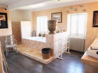 typical provençal farm house close to l'isle sur la sorgue - 12 persons - Cavaillon - 6