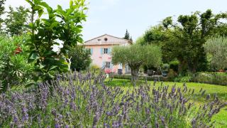 typical provençal farm house close to l'isle sur la sorgue - 12 persons - Cavaillon - 5