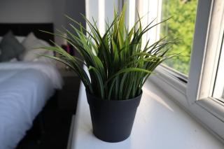 Heron House - Thrapston - 2