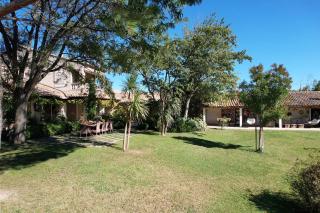 LS1-448 - Sounja - Tarascon - 9