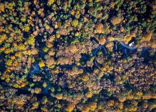Beresford, woodland lodge, sauna, hot tubs & games for 18 - Oakamoor - 4