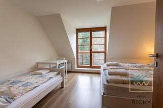 Apartmány pod Zakletým - Hotel Říčky - Říčky - 1