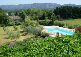 Villa avec piscine Saint Remy de Provence LS1-196 - Saint-Rémy-de-Provence - 9