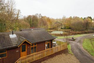 Tranquil Lakeview Lodge near Narberths Charm - 5