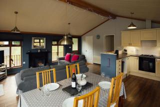 Tranquil Lakeview Lodge near Narberths Charm - 3