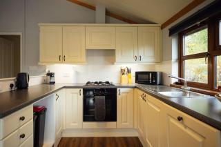 Tranquil Lakeview Lodge near Narberths Charm - 1