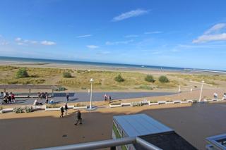 Windsor 0201 G-1017 - 2