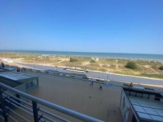 Windsor 0201 G-1017 - 1