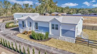 Mane House - Ocala - 3