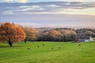 Throwley, woodland lodge with hot tubs for 14 - Oakamoor - 5