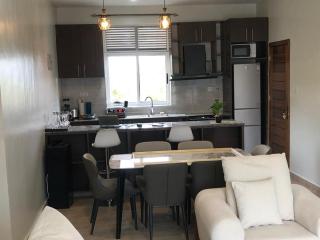 Vista Luxury Apartment - Kigali - 2