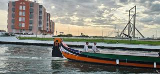 Rosa D'Aveiro - Aveiro - 9