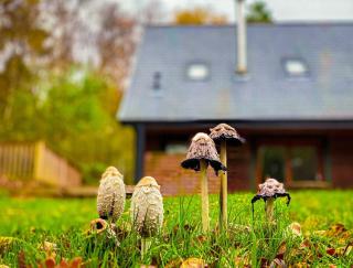 Stanton, woodland lodge with hot tub for 14 - Oakamoor - 3