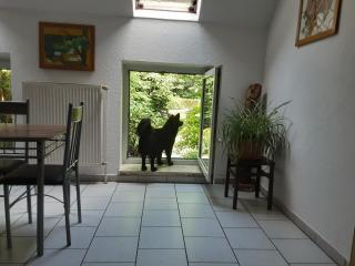 FEWO Laubwald - 6