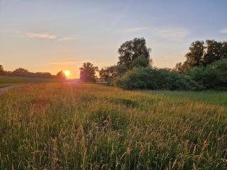 204 - Tiny House Rhein - - 1