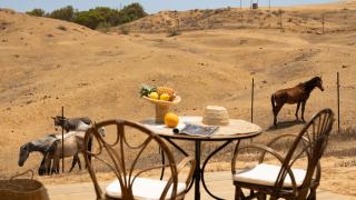 Noor Glamping - - 2