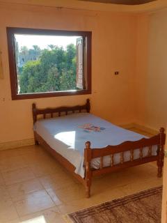 The Best View With Great Location 2 Bedroom Apartment in Luxor - Luxor - 4