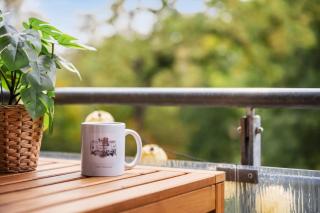 EDLER WOHNRAUM Schwanenteich-Oase mit Balkon, Kaffeevollautomat, Lift & Parkplatz - Zwickau - 3