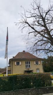 Villa am Park - Staßfurt - 6