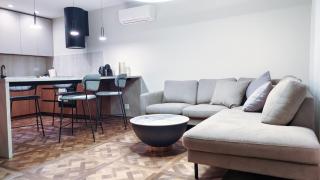 Luka Brown Palanga Apartment - 9