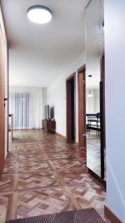 Luka Brown Palanga Apartment - 8