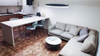 Luka Brown Palanga Apartment - 6