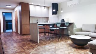 Luka Brown Palanga Apartment - 4