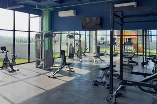 Los Mandalas en Arena Vive el Parque - 6