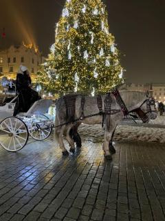 Pszczelna Apartment - Cracovie - 6