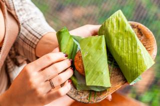 La Loma Jungle Lodge and Chocolate Farm - Bocas del Toro - 7