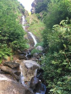 Un Jardin Au Coeur De Luchon - Luchon - 3