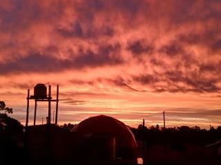 Domo Naranja - 0