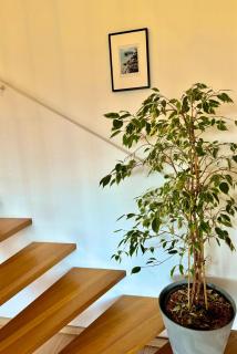 Bergpanorama Maisonetten Apartment nähe Salzburg - 5