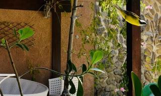 Casa San Francisco Suites - 7