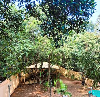 Arambol Bliss - Arambol - 3
